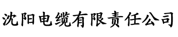 久久久久久人妻精品一区电缆厂logo